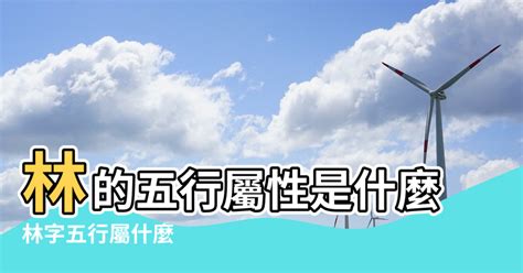 林 五行|【林 五行屬性】揭開「林」的神秘面紗！五行屬性大公開，意涵。